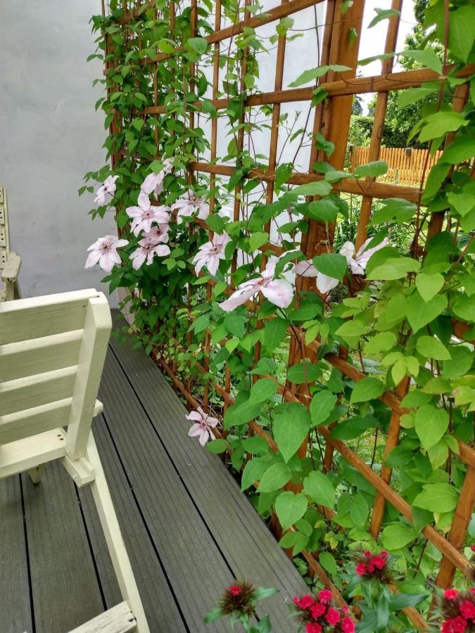 Apartament Przy Kamiennej Chacie Zalewo  エクステリア 写真
